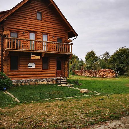 Valea Vistisoarei Villa Vistisoara Ngoại thất bức ảnh