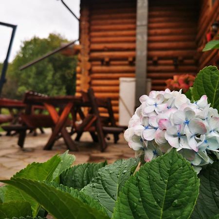 Valea Vistisoarei Villa Vistisoara Ngoại thất bức ảnh