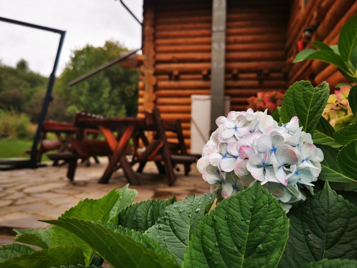 Valea Vistisoarei Villa Vistisoara Ngoại thất bức ảnh