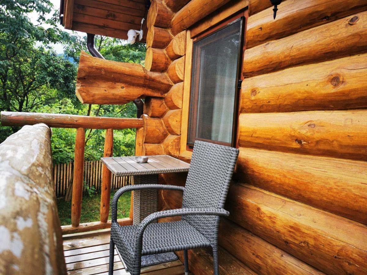 Valea Vistisoarei Villa Vistisoara Ngoại thất bức ảnh