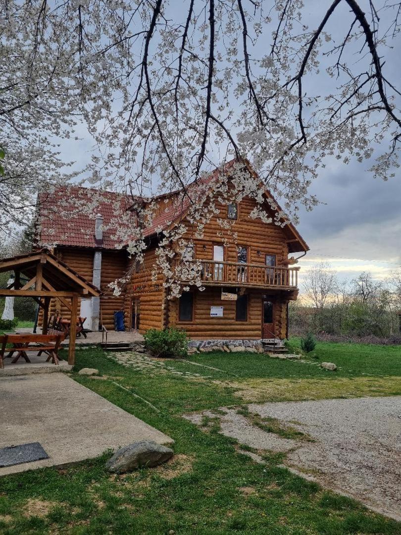 Valea Vistisoarei Villa Vistisoara Ngoại thất bức ảnh
