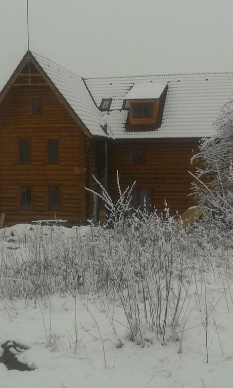 Valea Vistisoarei Villa Vistisoara Ngoại thất bức ảnh