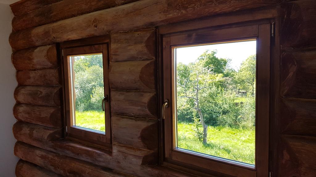 Valea Vistisoarei Villa Vistisoara Ngoại thất bức ảnh