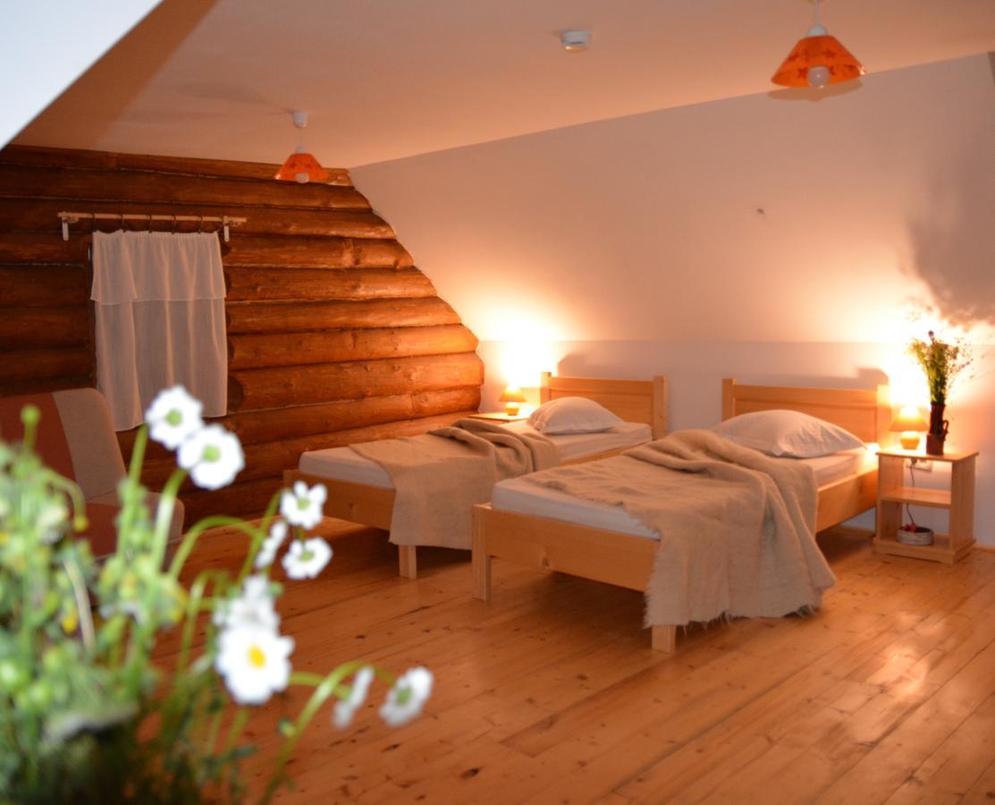 Valea Vistisoarei Villa Vistisoara Ngoại thất bức ảnh